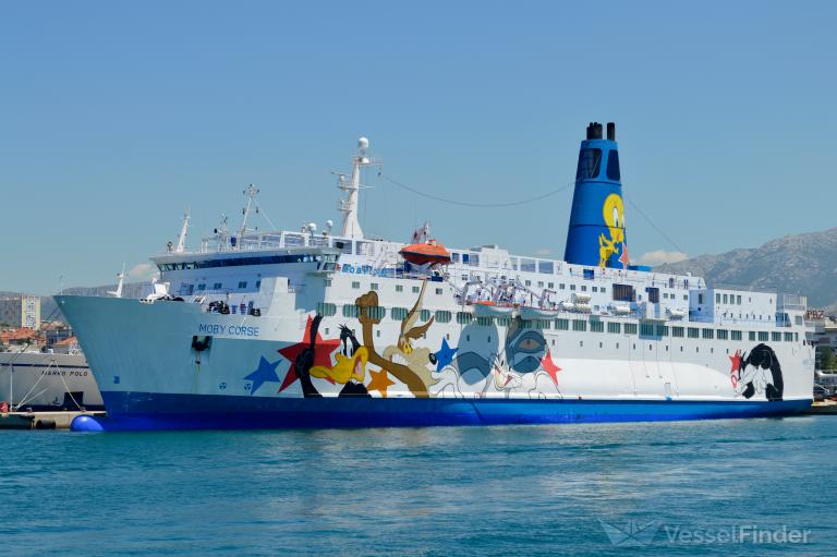 SANTA CRUZ photo