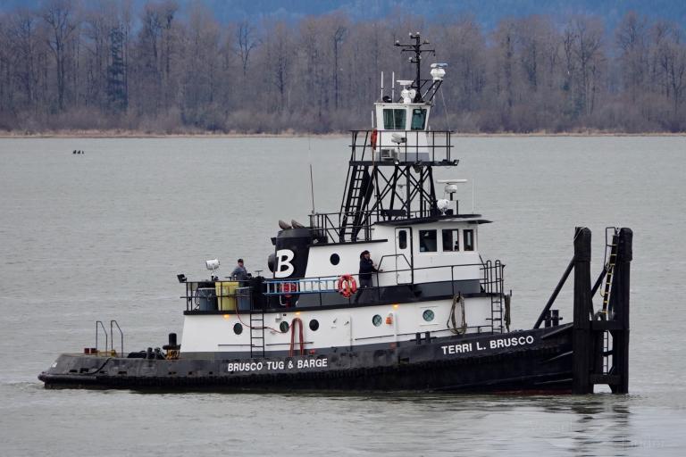 TERRI L.BRUSCO, Tug - Details and current position - IMO 7618155