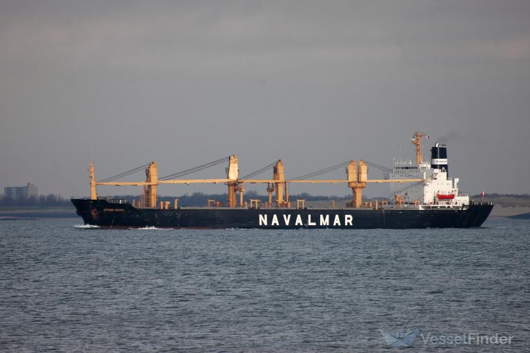 SETUBAL CASTLE photo