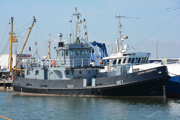 LOYAL MEDIATOR photo