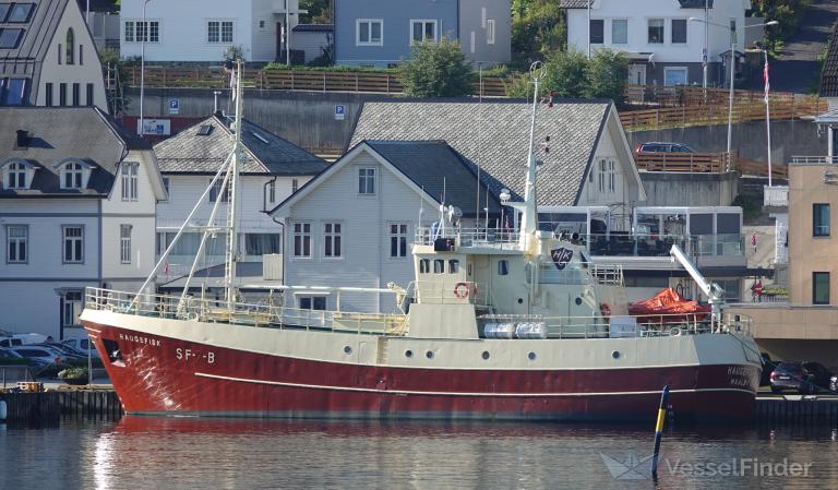 HAUGEFISK photo