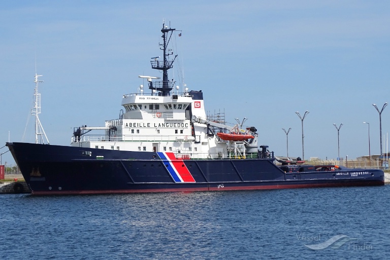 ABEILLE LANGUEDOC photo