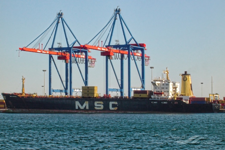 MSC ALPANA photo