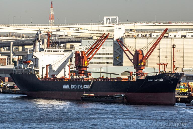 DUCKY SAPPHIRE photo