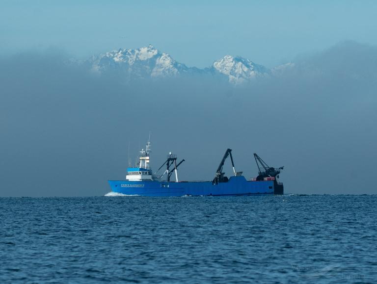 FIERCE ALLEGIANCE photo