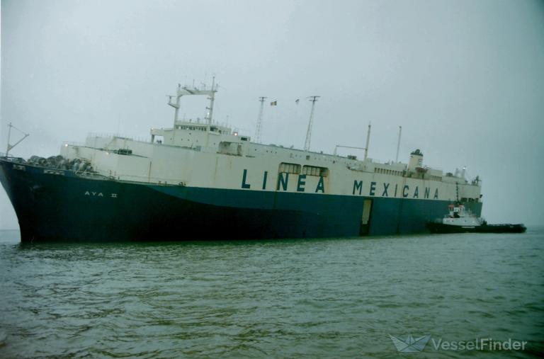 SEA AHMED photo