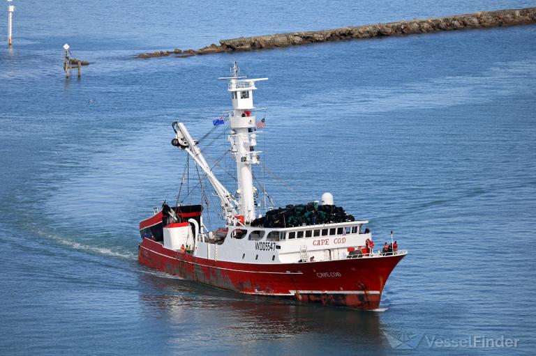 CAPE COD photo