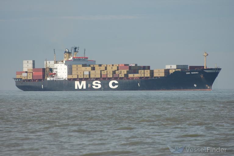 MSC MAGALI photo