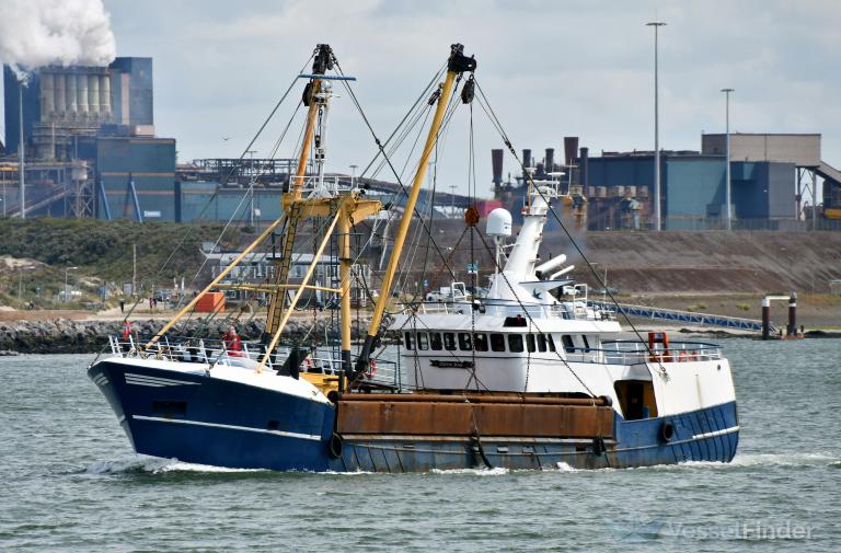 imo Amazon.com: Fuel Injector pump Model 294050-0100 8-98091565