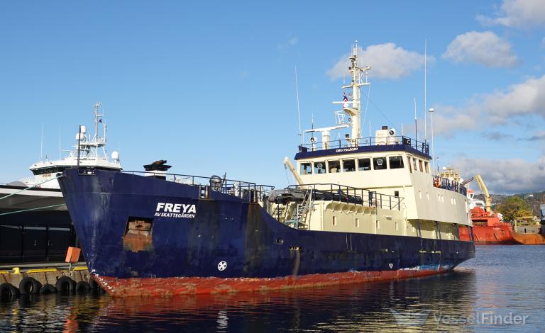 FREYA photo