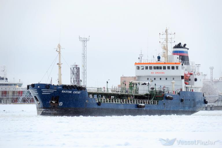 BALTIC SEAGULL photo