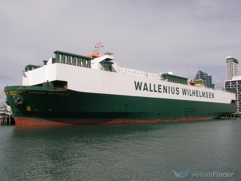 MADAME BUTTERFLY photo