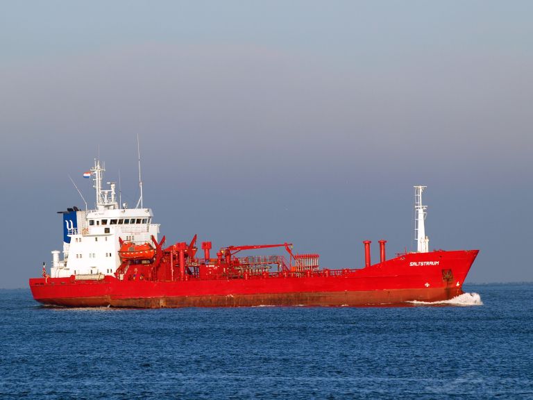 SALTSTRAUM photo