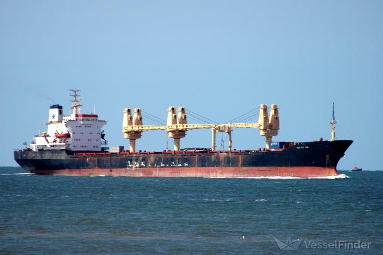 ABDULAZIZ ARAB, General Cargo Ship - Details and current position - IMO ...