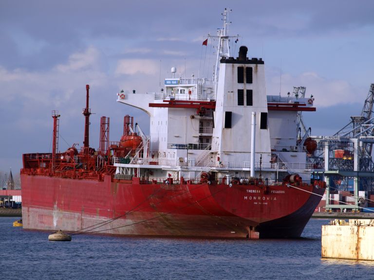 THERESA PEGASUS photo