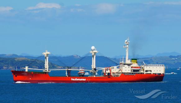 ALICA photo