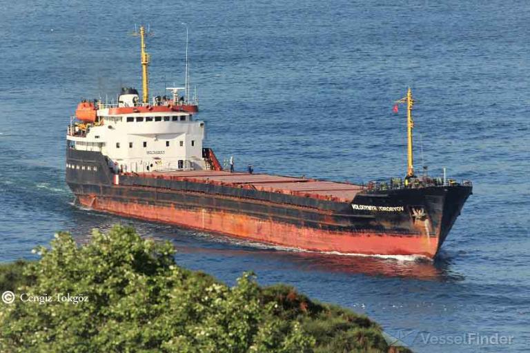 VOLODYMYR VOROBYOV photo