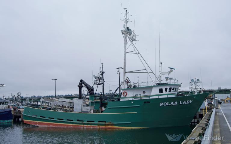POLAR LADY photo