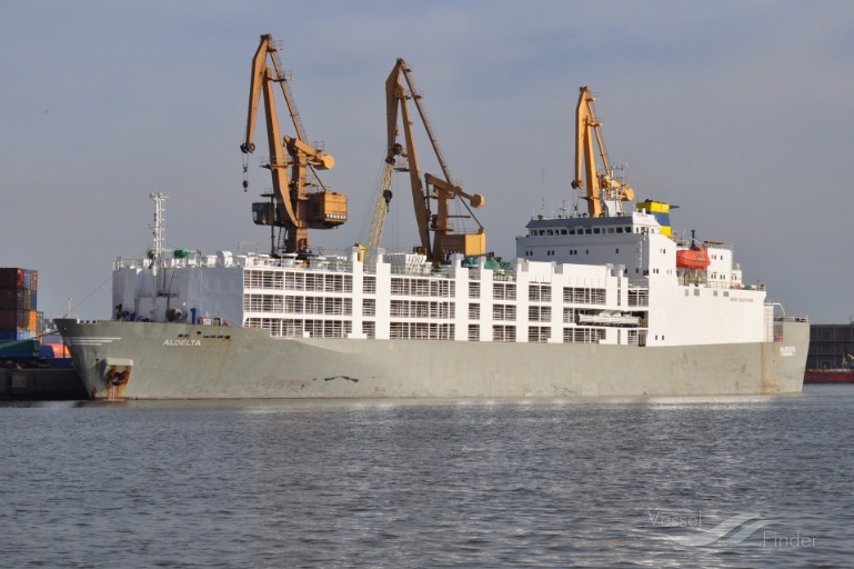 GULF LIVESTOCK 2 photo