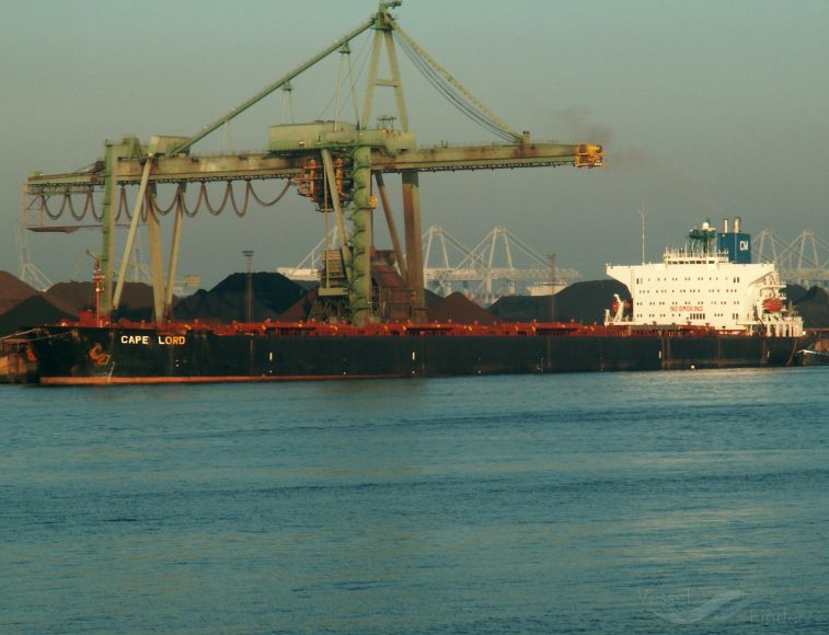 SUNNY, Bulk Carrier - Details and current position - IMO 8011249 ...