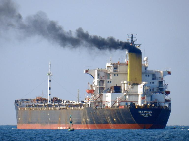 SEA PRIDE photo