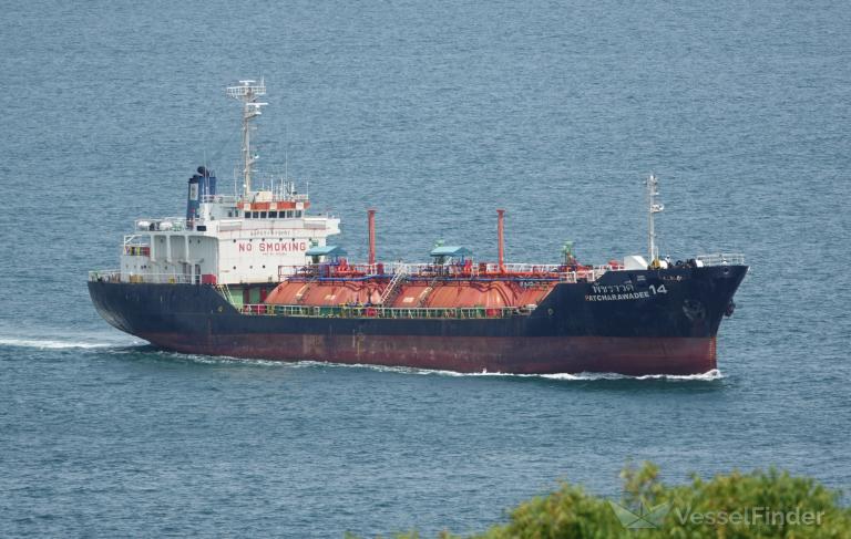 PATCHARAWADEE 14 photo