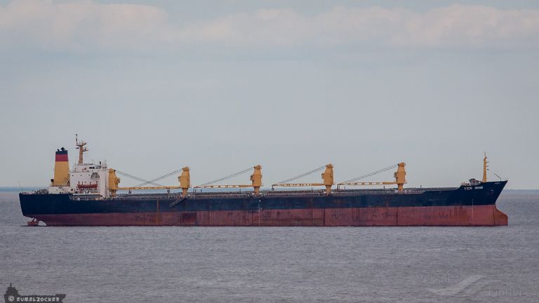 KS TRADER photo