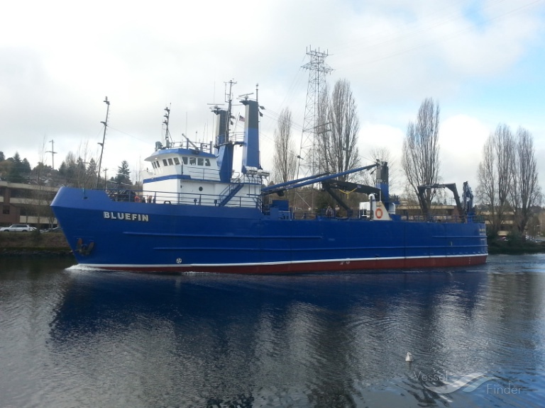 BLUEFIN photo