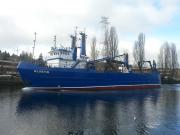 BLUEFIN