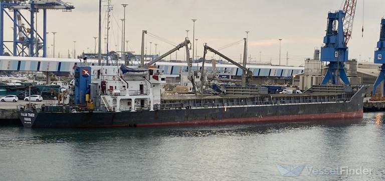 ITALIAN TRADER photo