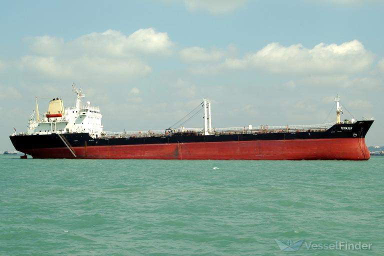 TEMASEK photo