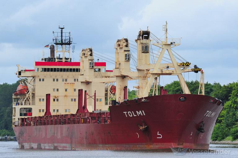 TOLMI photo