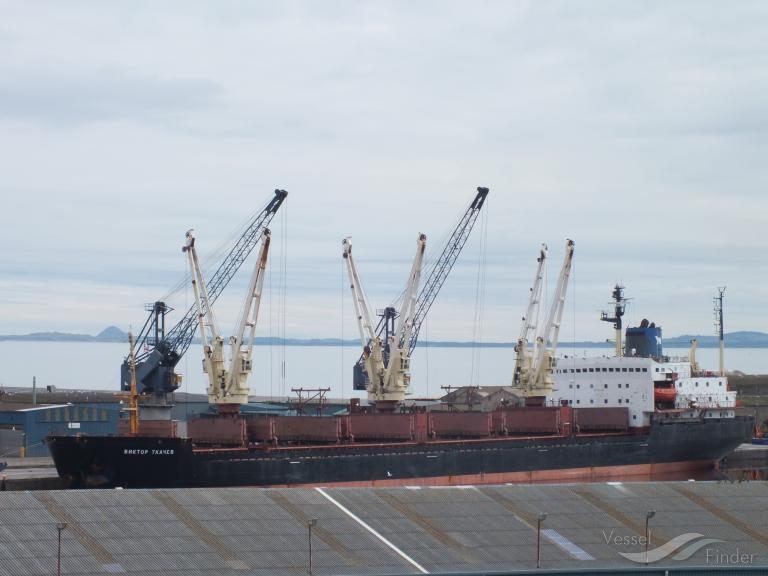 CHARM, Bulk Carrier Details and current position IMO 8131934