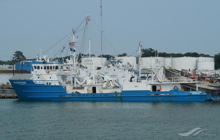 CALCASIEU PASS photo