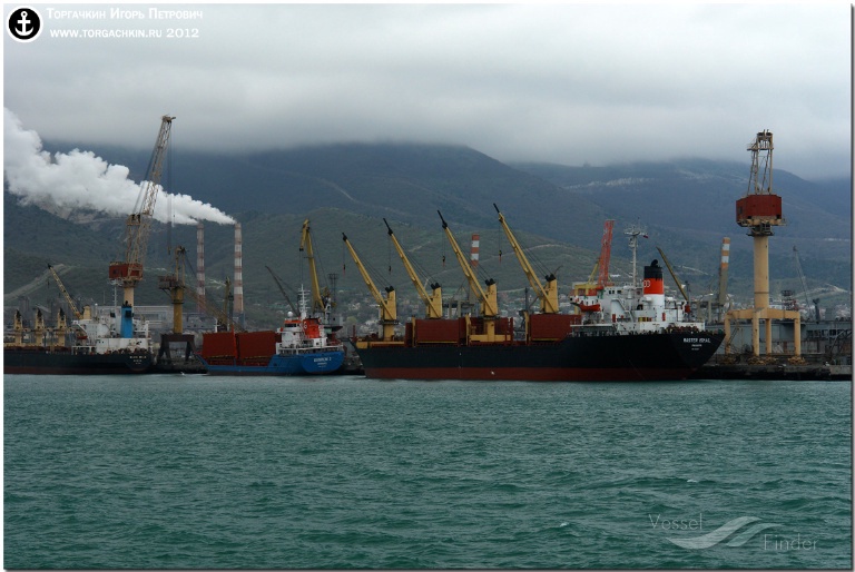 MASTER ISMAIL, Bulk Carrier - Details and current position - IMO ...