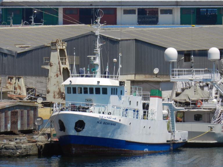 M. S. BENYAHIA photo