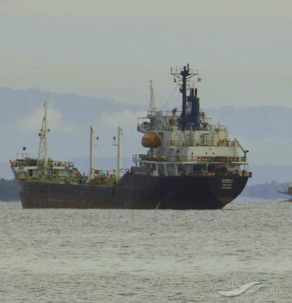 MENGGALAPERTAMINA 34 photo