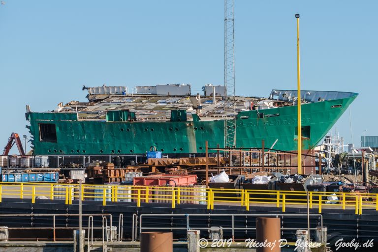 NORTHWEST SEARCHER photo