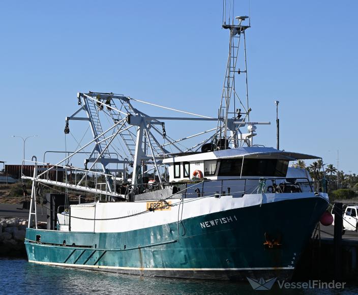 NEWFISH I photo
