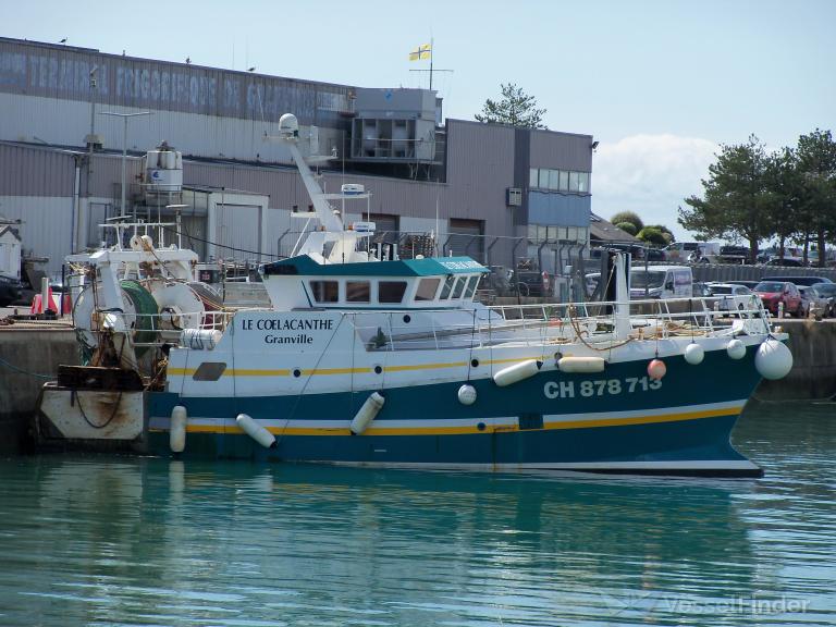 LE COELACANTHE photo