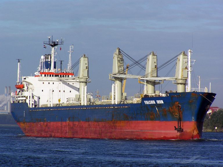 UNIVERSE FOREST photo