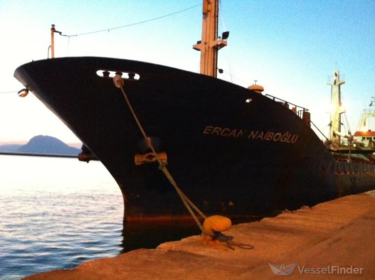 ERCAN NAIBOGLU photo