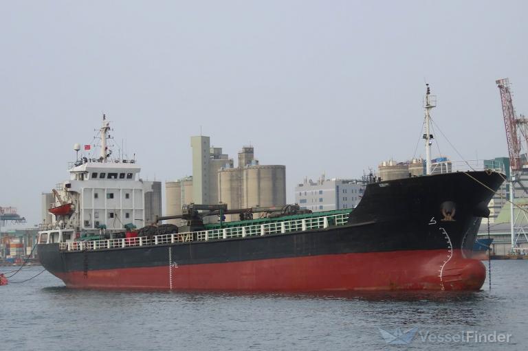 GOLDEN BAUHINIA photo