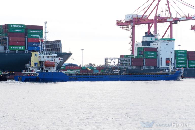 XIN SHENG SHENG 5 photo