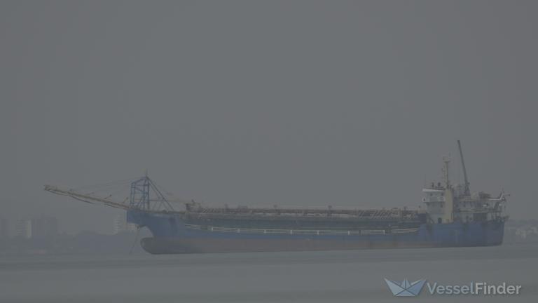 GOLDEN PIONEER photo