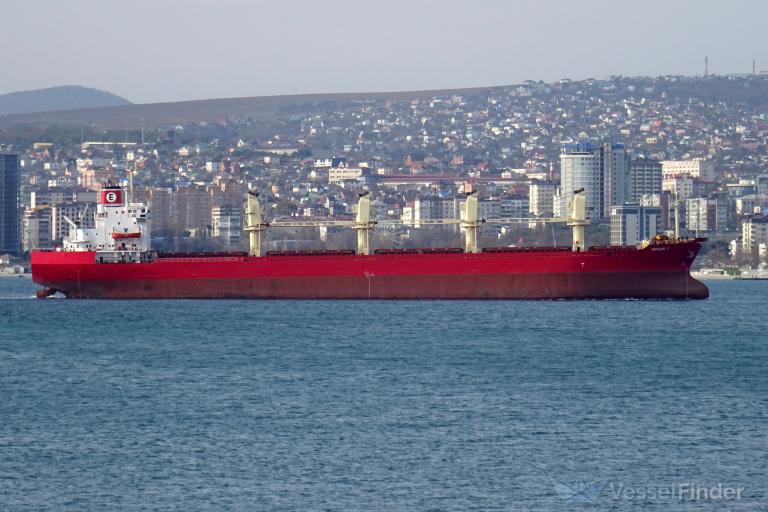 ORHAN-Y photo