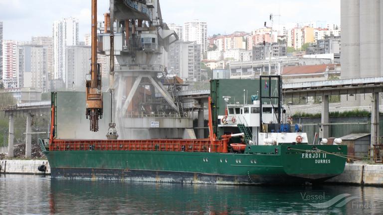 D.E. STANDARD 3 photo