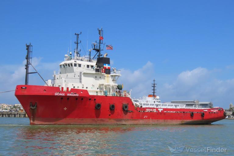 SALVAGE VANGUARD photo