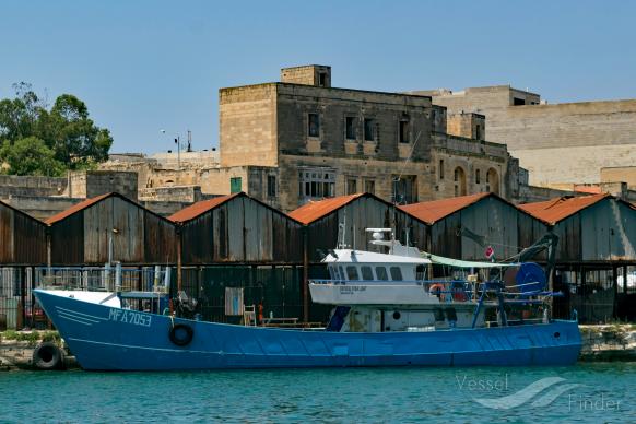 CRYSTAL STARLIGHT photo