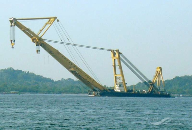 ASIAN HERCULES photo